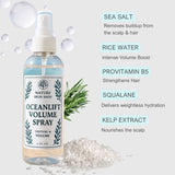 OceanLift Volume Spray Texturizing Sea Salt Mist