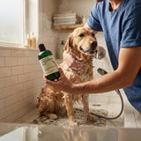 Man washing a golden dog with a bottle of 'Ancestral Wat' pet shampoo in a bathroom.
