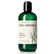 A bottle of Nature Skin Shop Voluminous Sea Salt Shampoo in a translucent dark green bottle with a black cap and a white label featuring botanical illustrations.